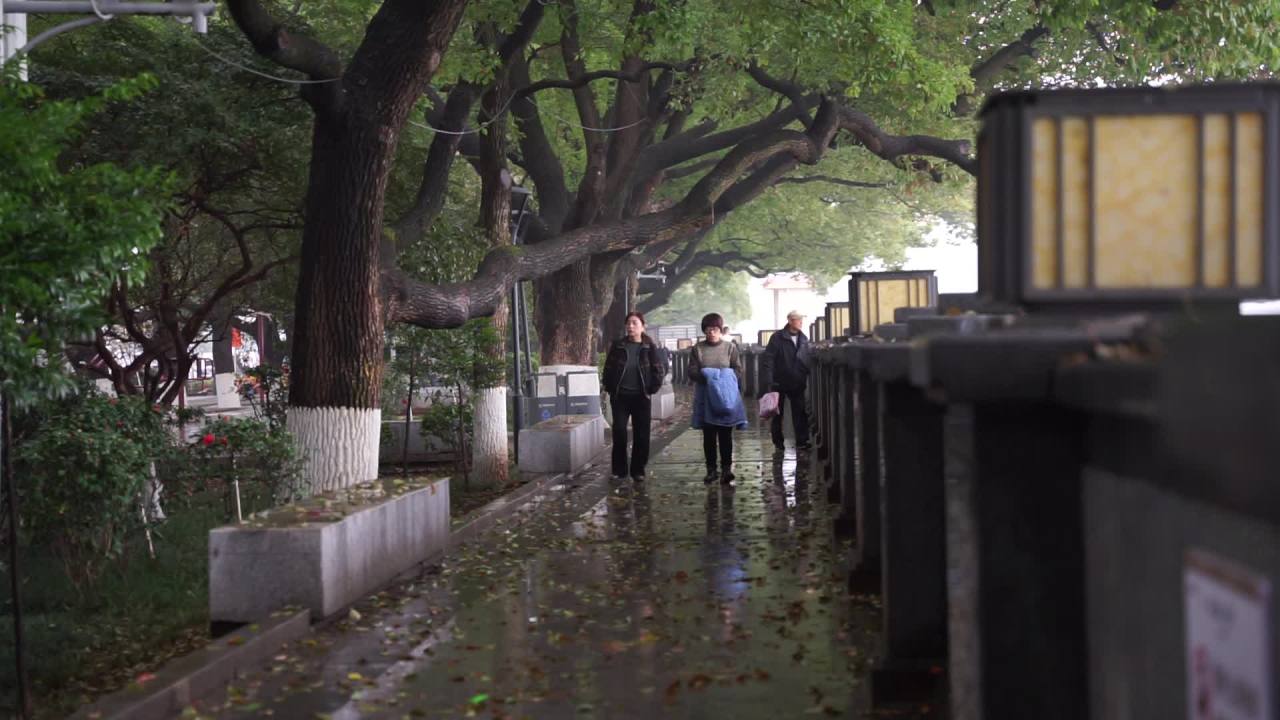 长沙 12