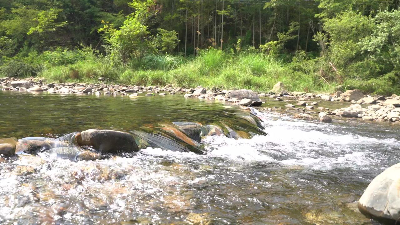 小河流水