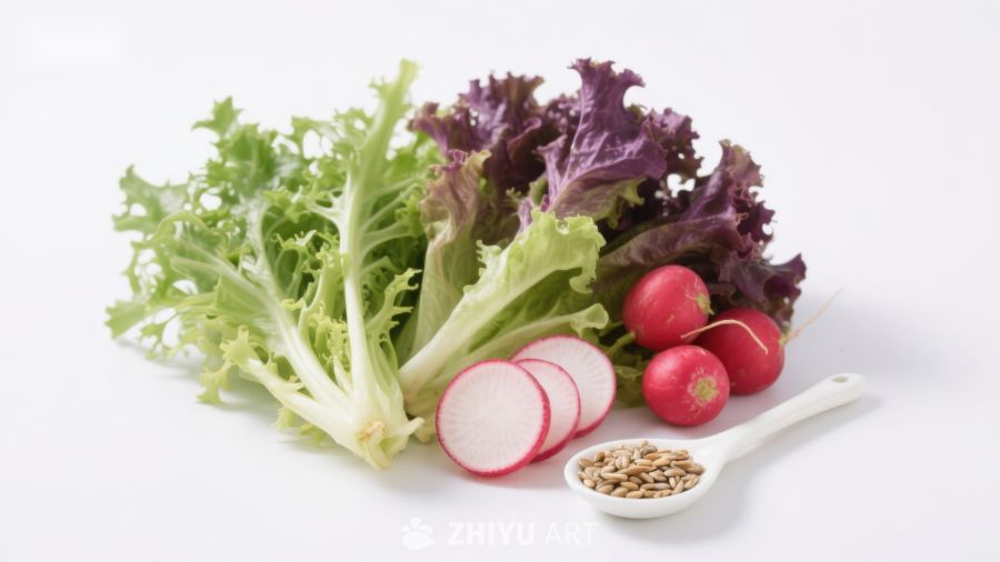新鲜蔬菜与谷物组合