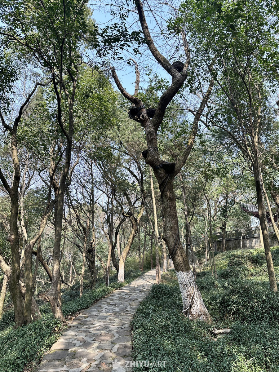 山中一景