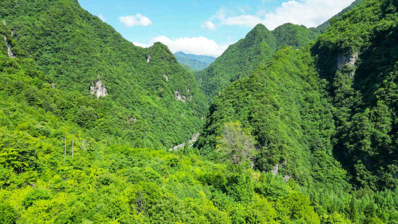 航拍湖北神农架大山峡谷交通公路