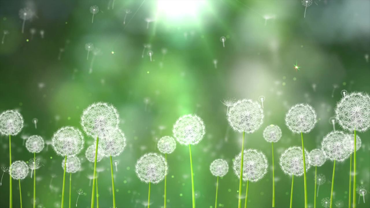 小清新蒲公英梦幻粒子led视频素材 22
