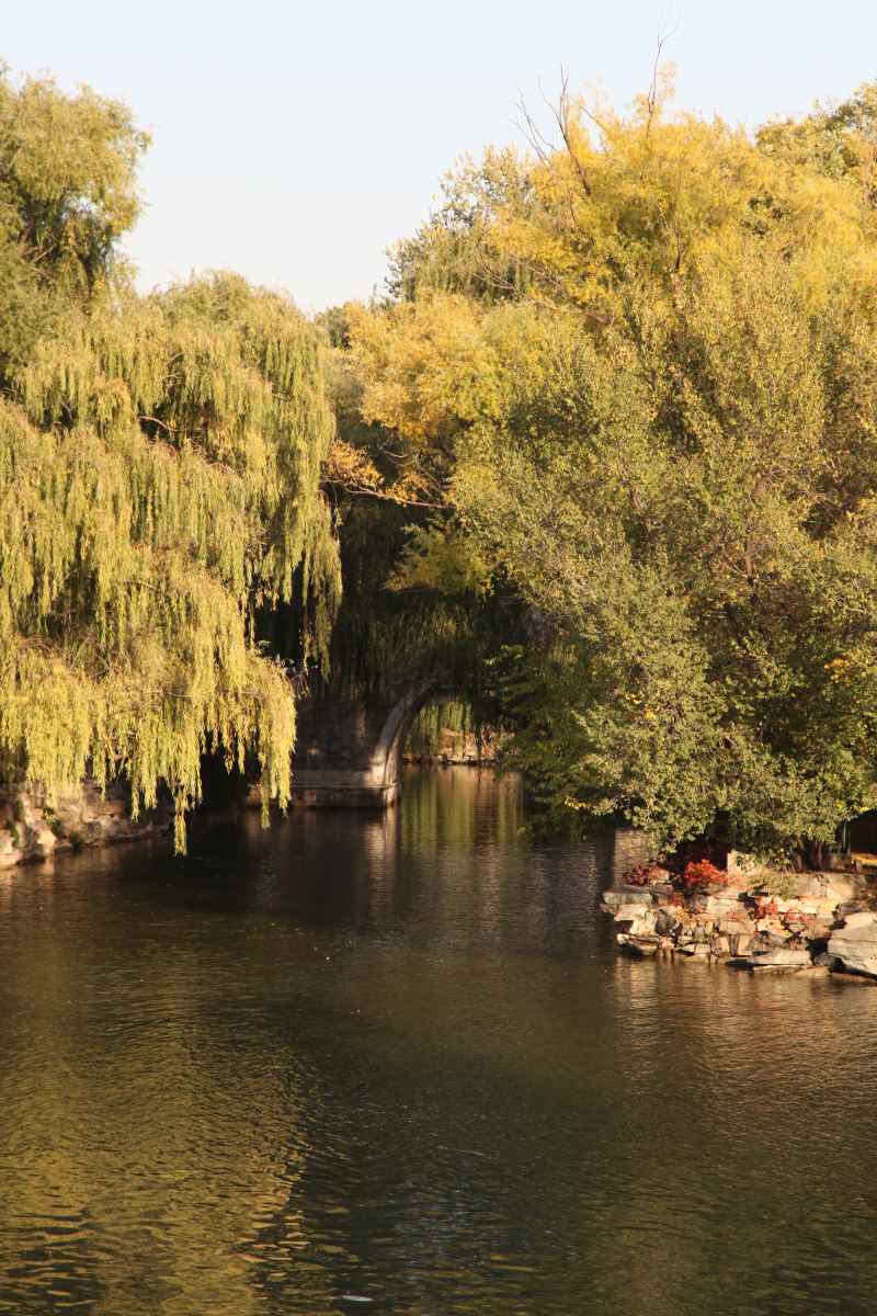 风景 41