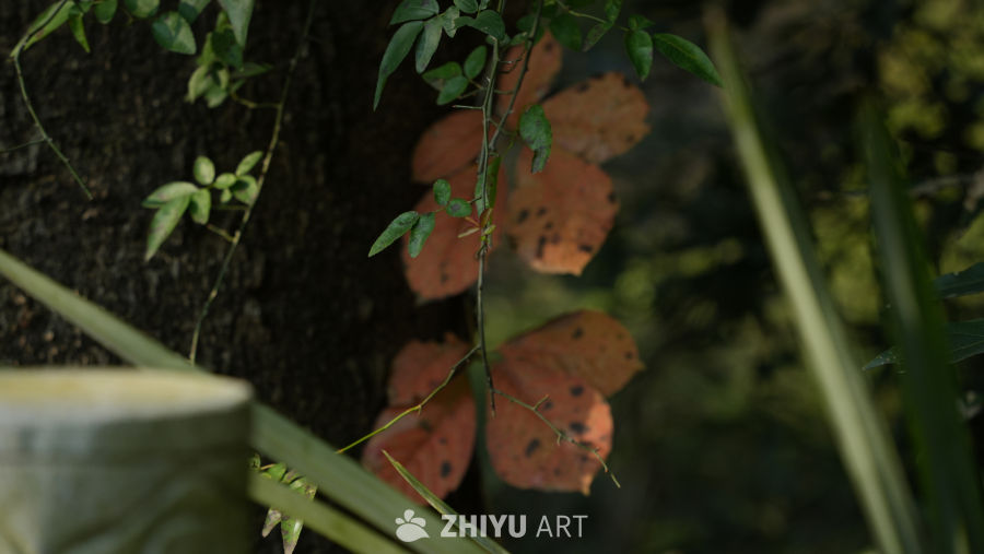 秋日绿叶与红叶共舞