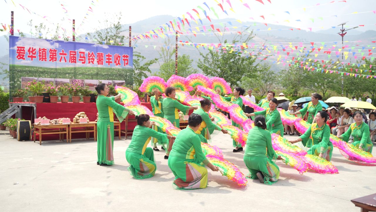 丰收 96