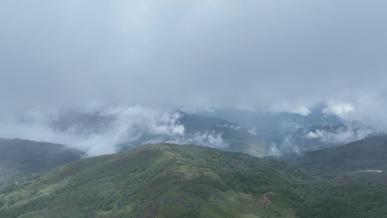 产业振兴 8
