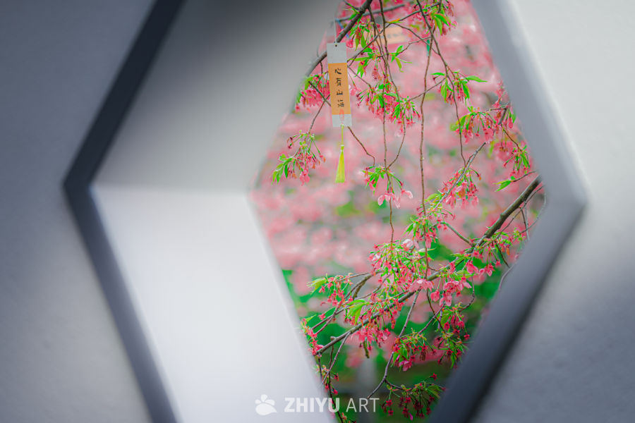 春色