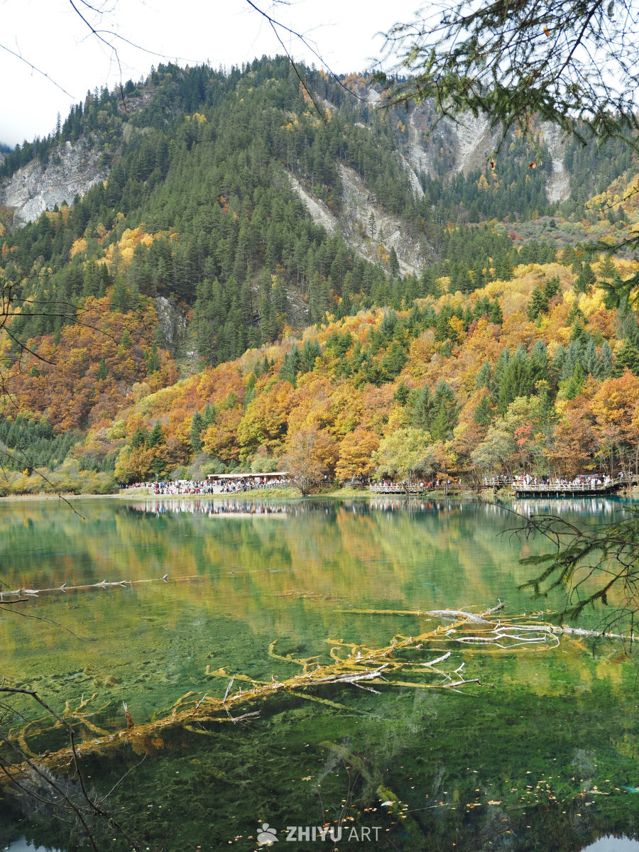 川西九寨/毕棚沟/四姑娘山 20