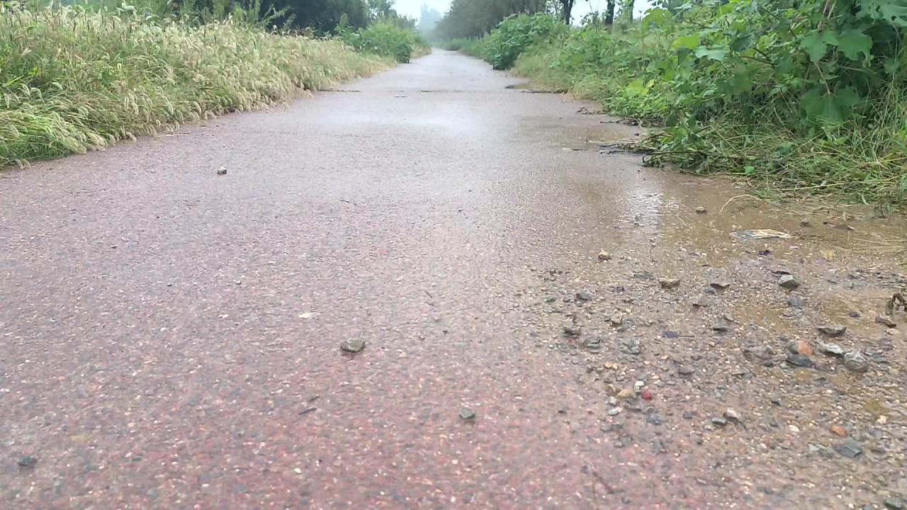 秋雨不识人间苦，依旧绵绵无绝期 1