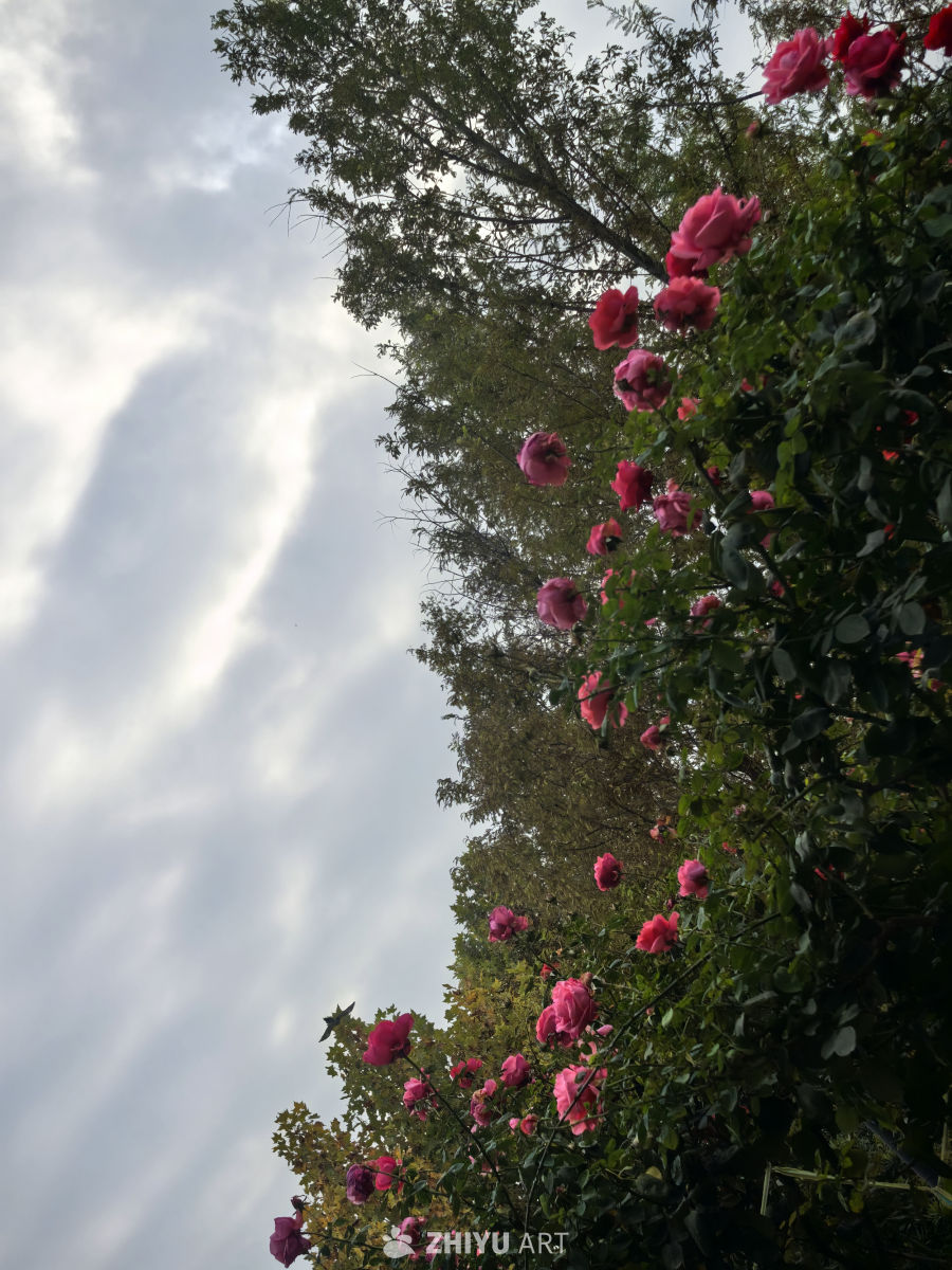 水静万佛湖，风微湖岸幽