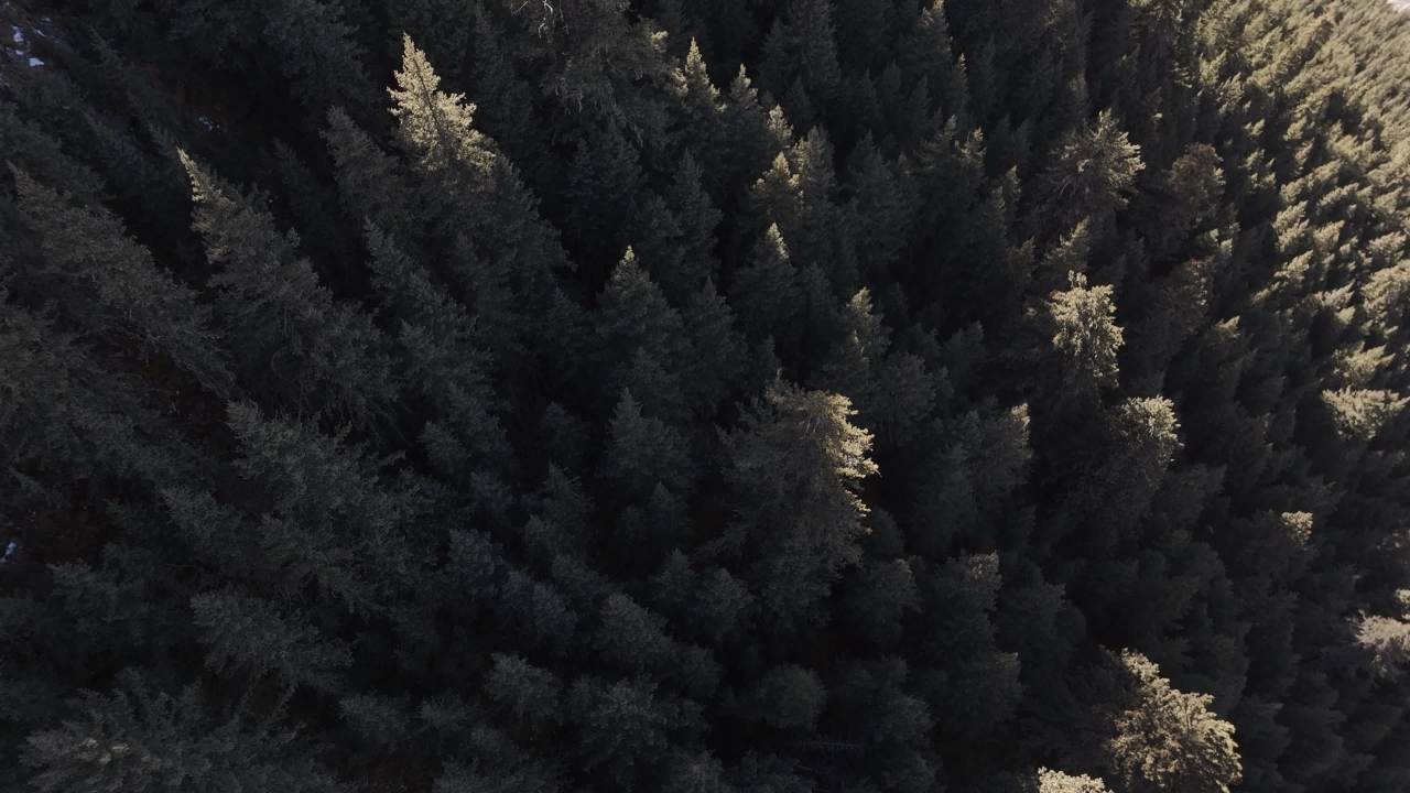 壮观森林峡谷全景航拍