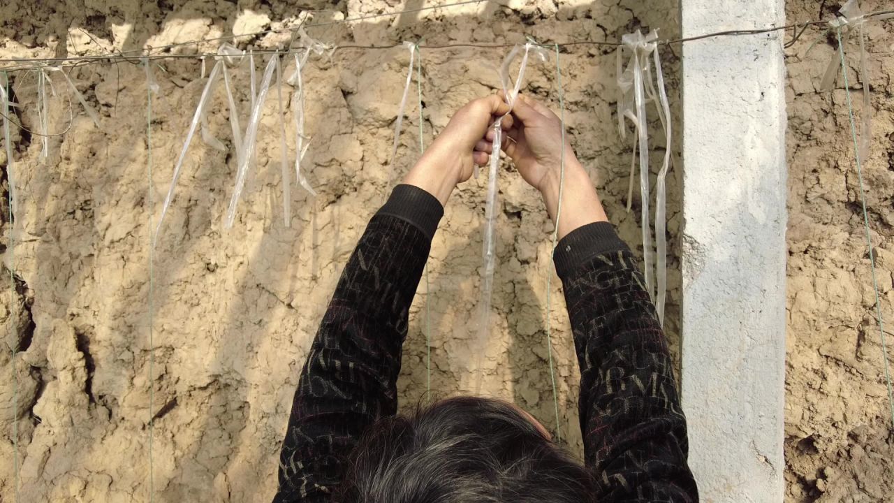 三农农村蔬菜大棚工作生活实拍素材