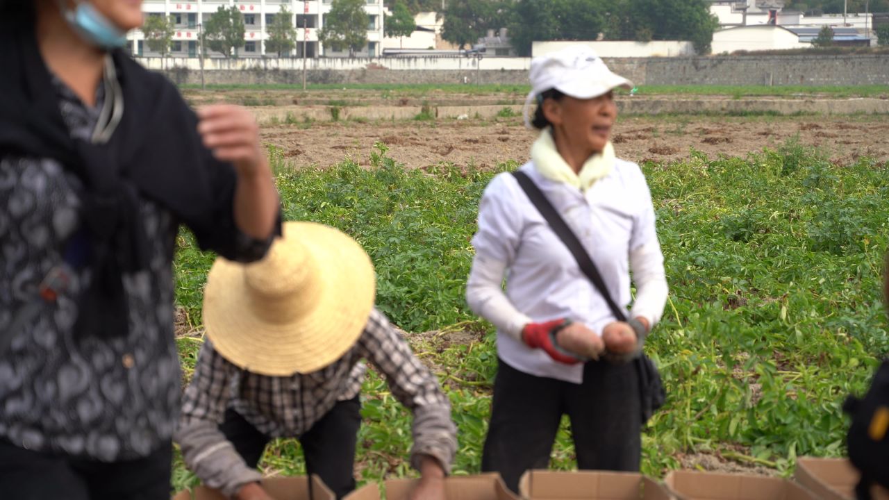丰收 25