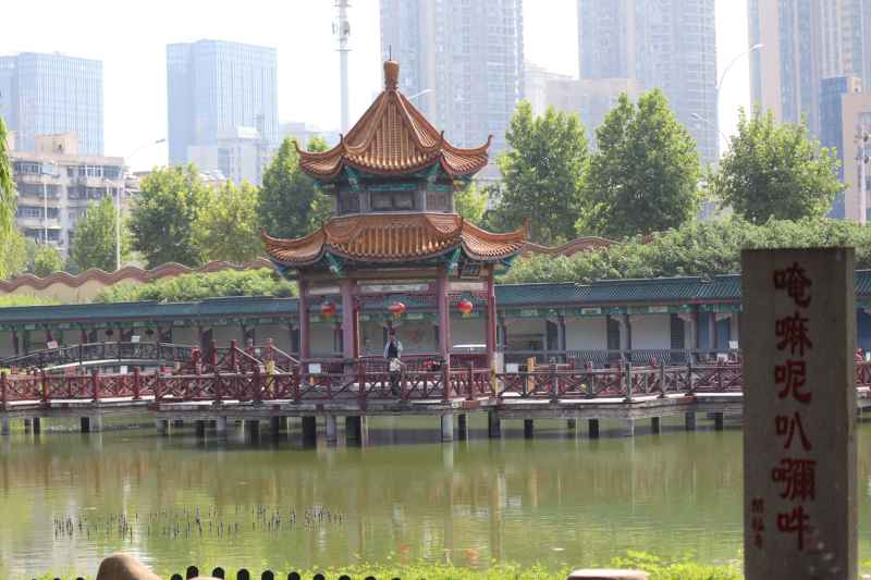 河中小庭