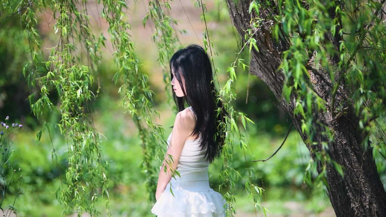 4k美女柳树下拍照  小清新春日休闲生活