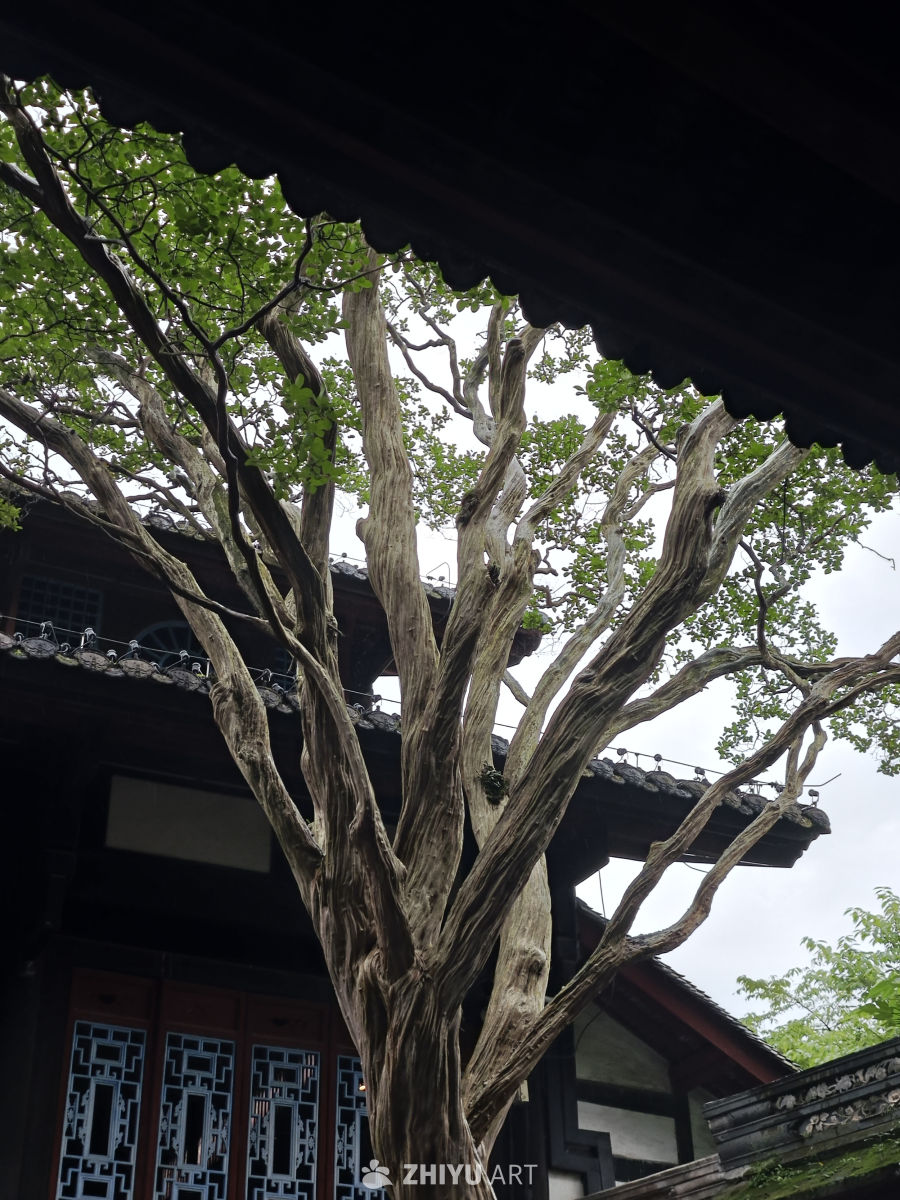 都江堰南桥蓝眼泪 8