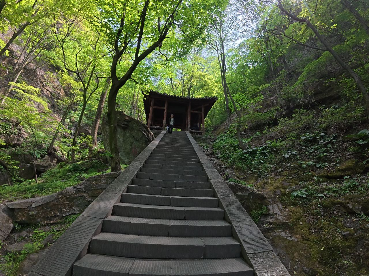 森林古亭之旅
