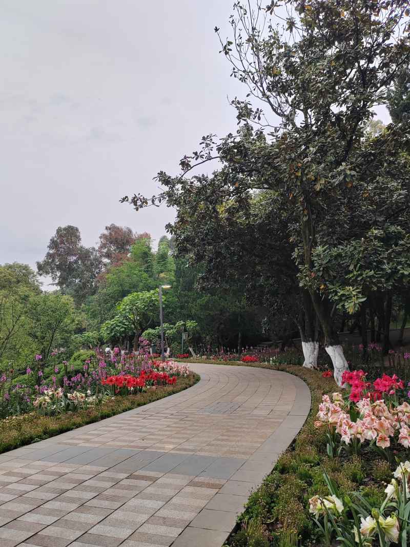 路边花