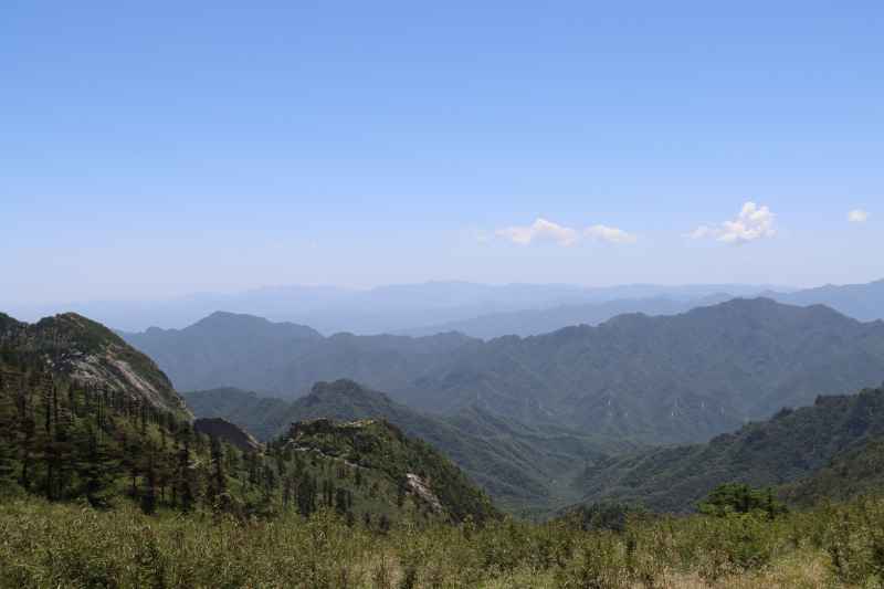 自然风光——翠华森林公园