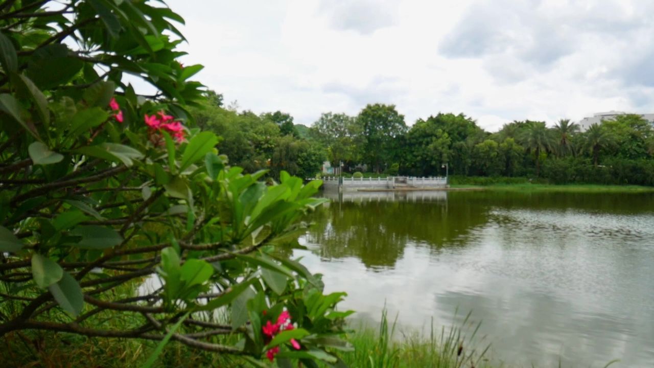 广州儿童公园的湖