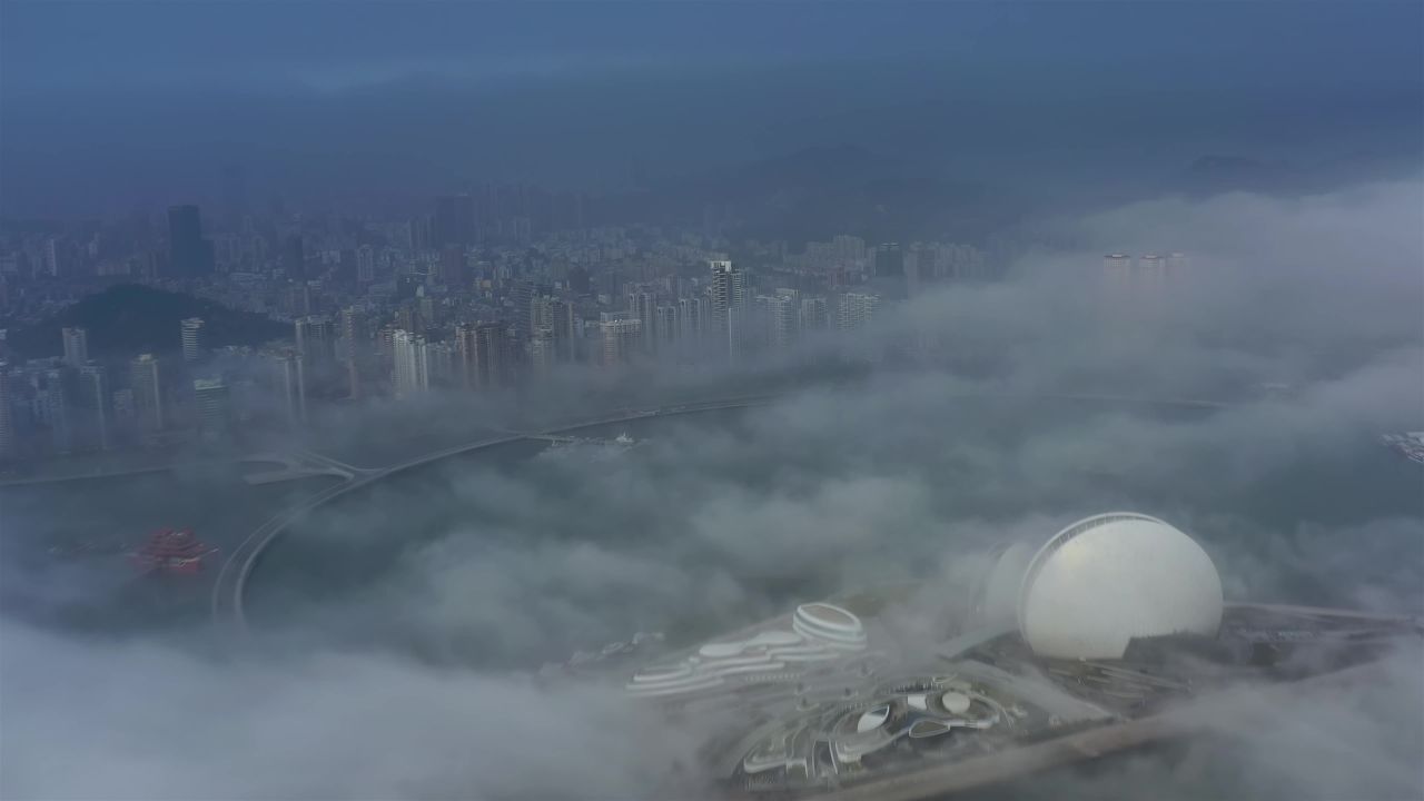 春天的故事