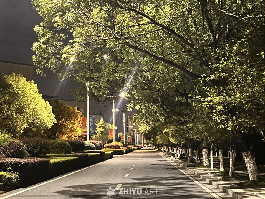 夜色中的城市绿道