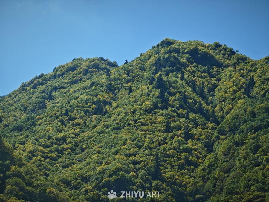 互助北山森林公园