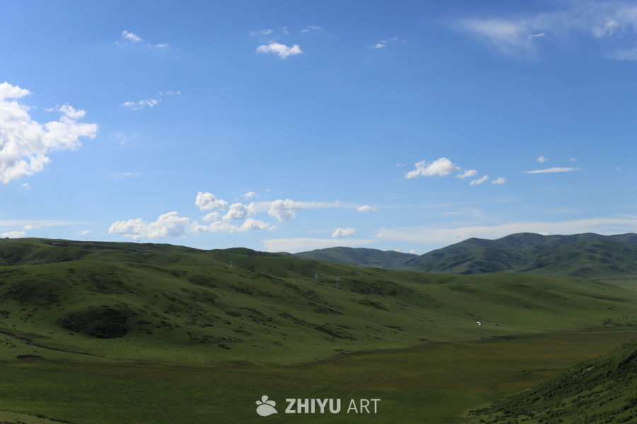 绿意盎然的草原风光