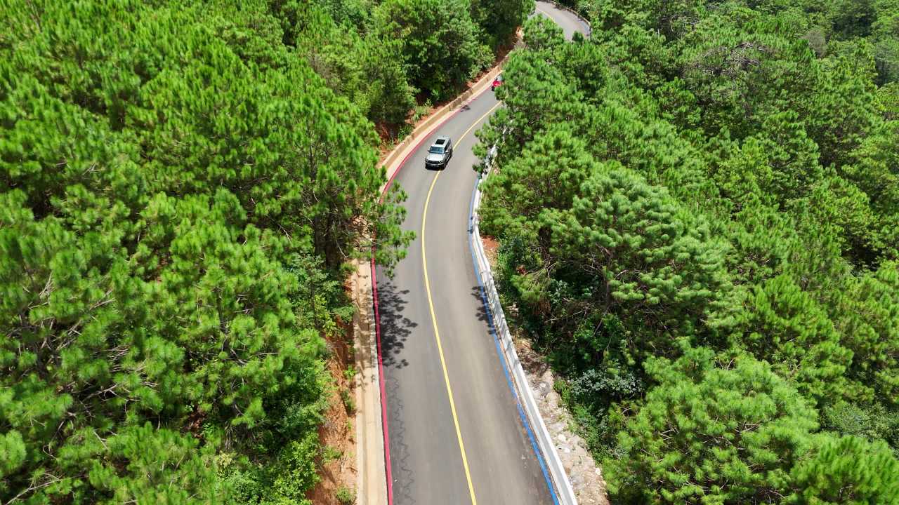 森林中的蜿蜒公路