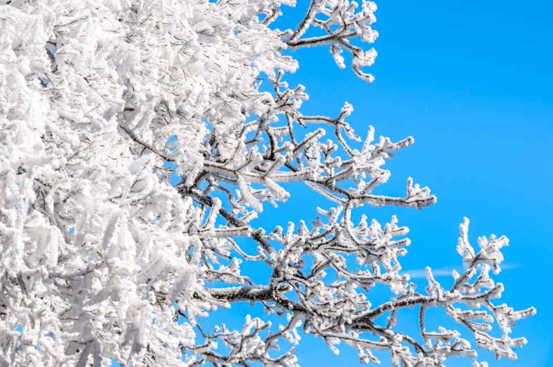 黄山雪景