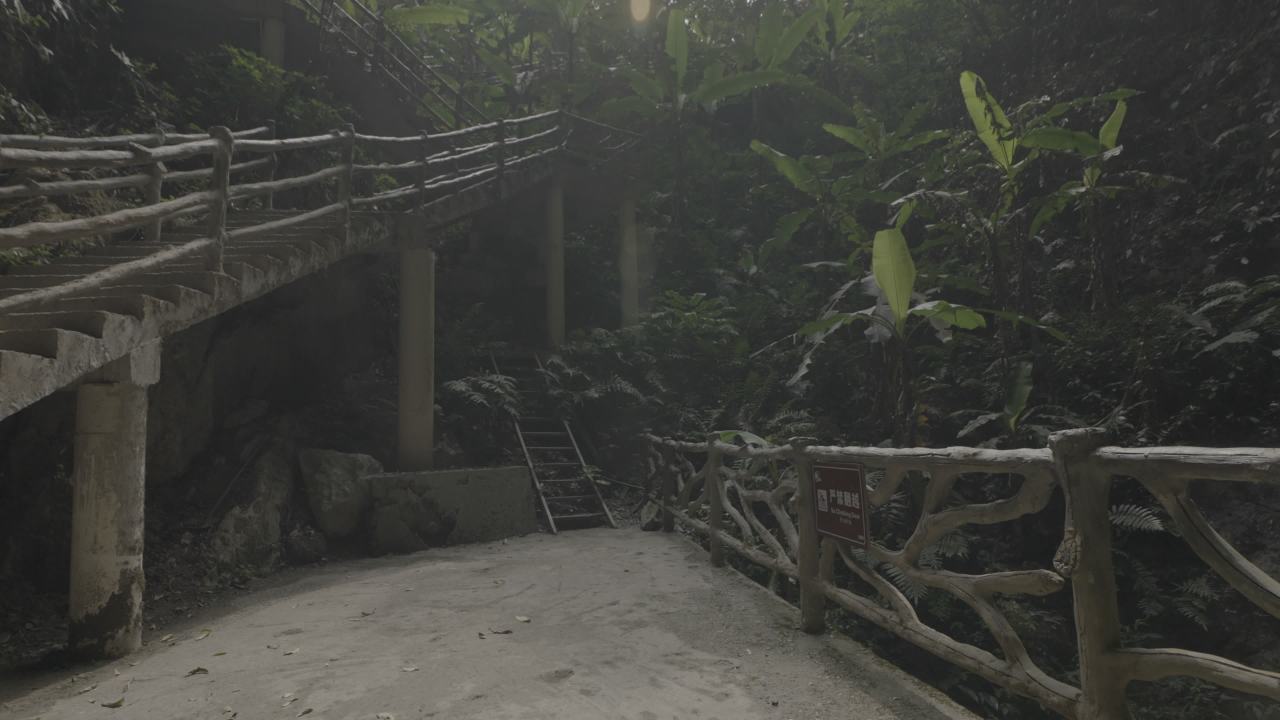 天坑 11