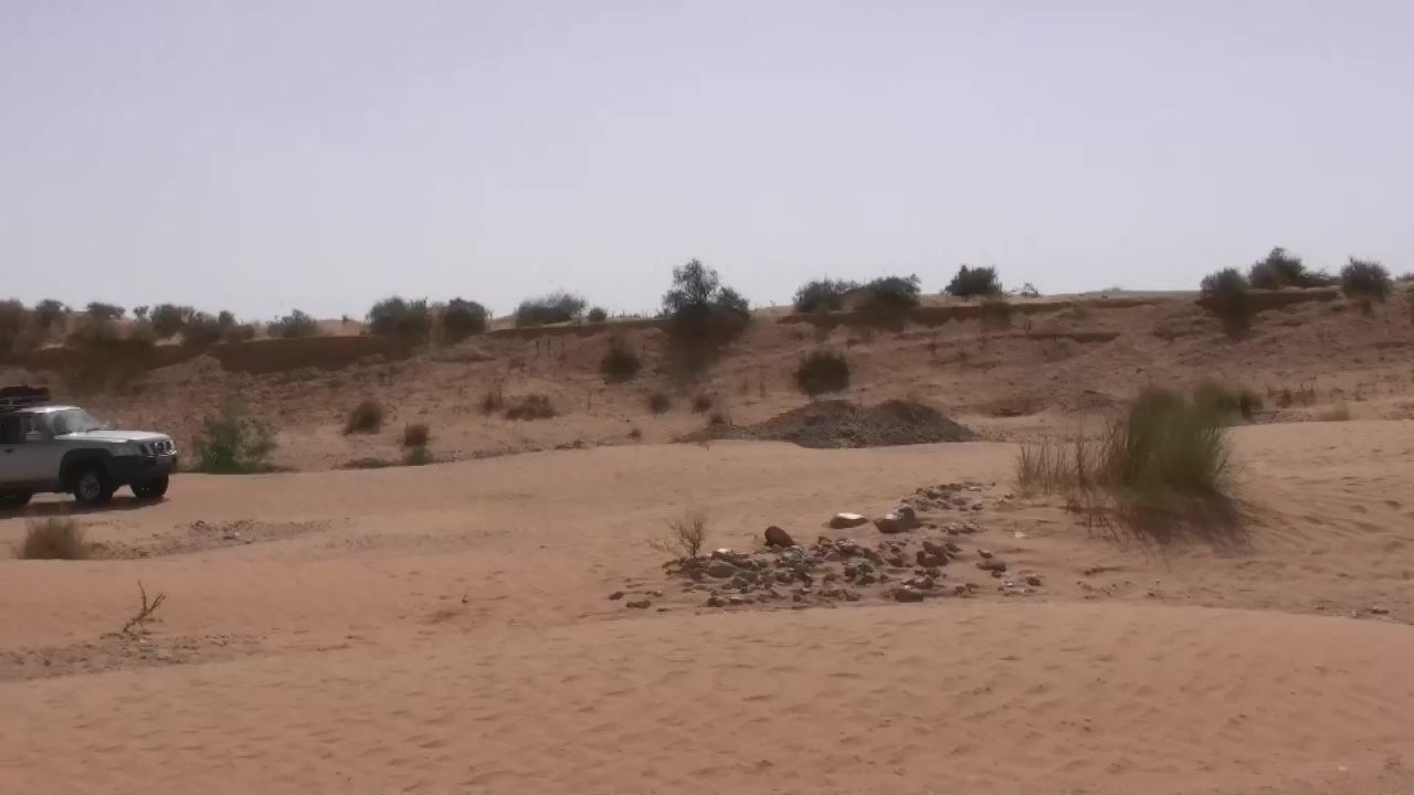 撒哈拉集会沙漠砂