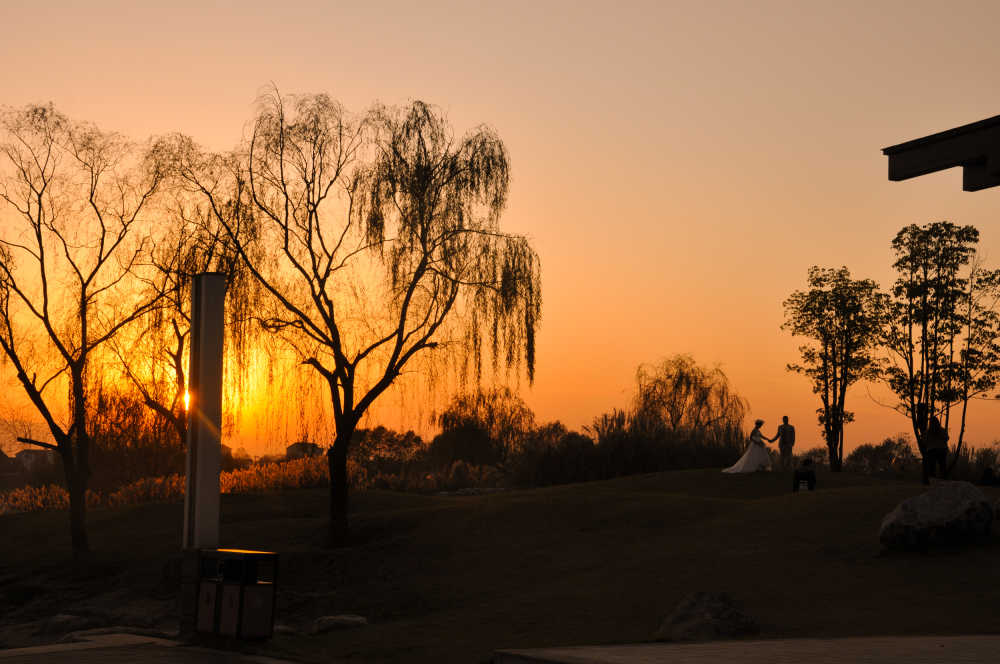 夕阳下的他们，实锤羡慕了