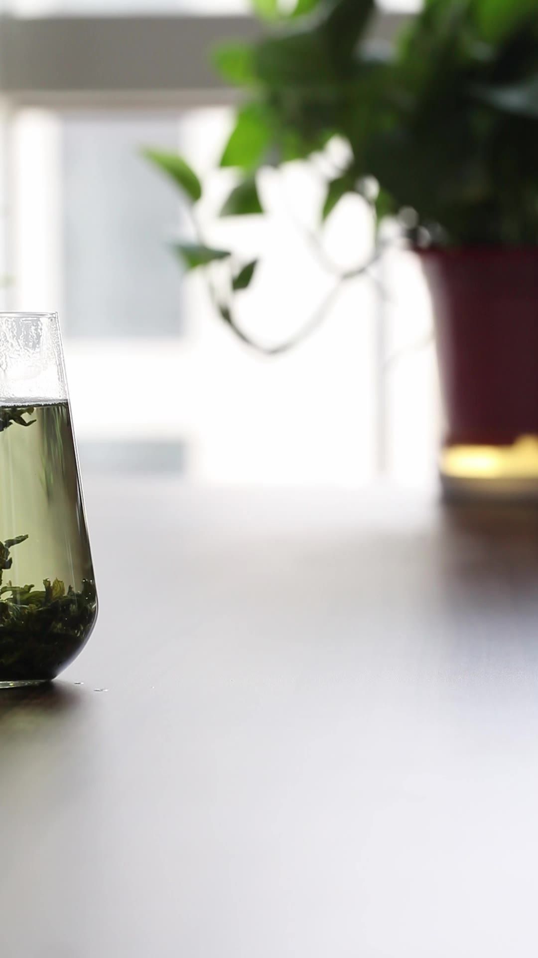 绞股蓝小苦茶
