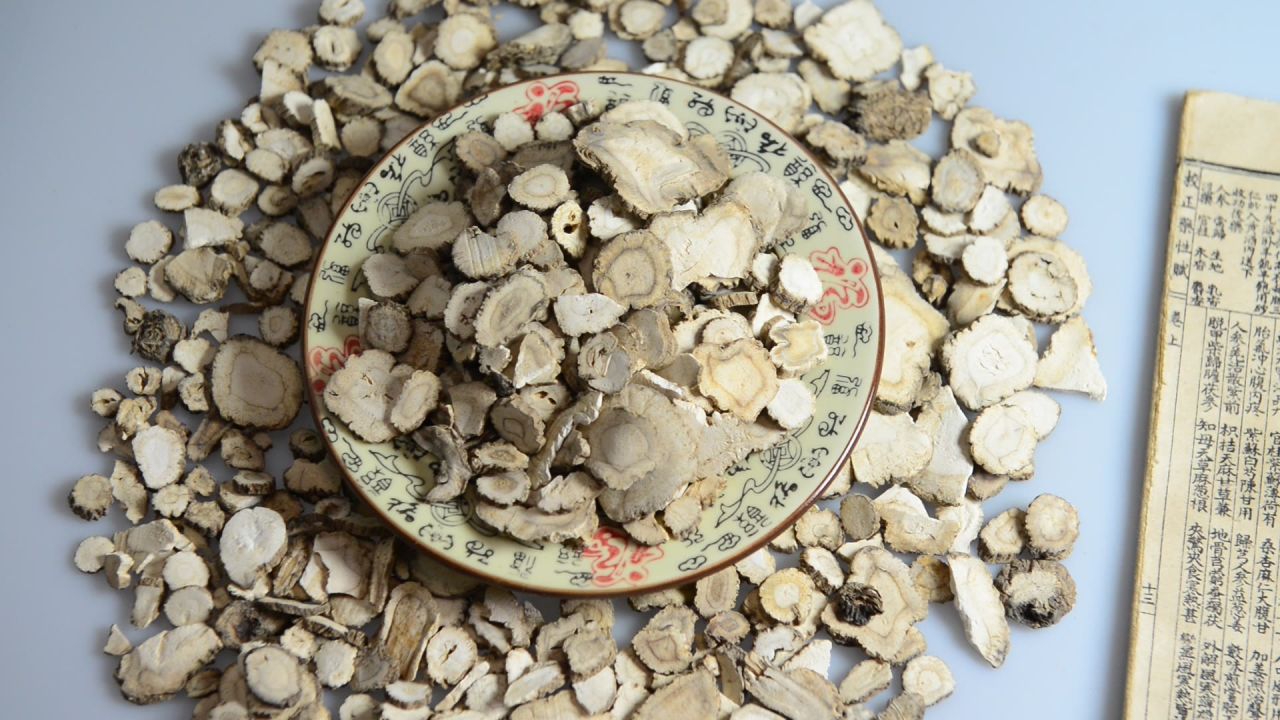中药材白芷 11