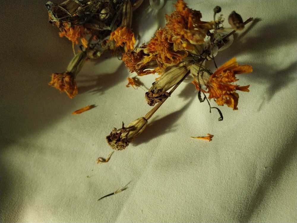 干花