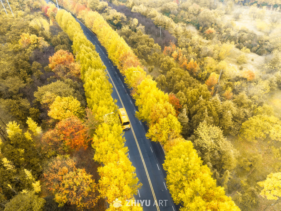 合肥枫林路