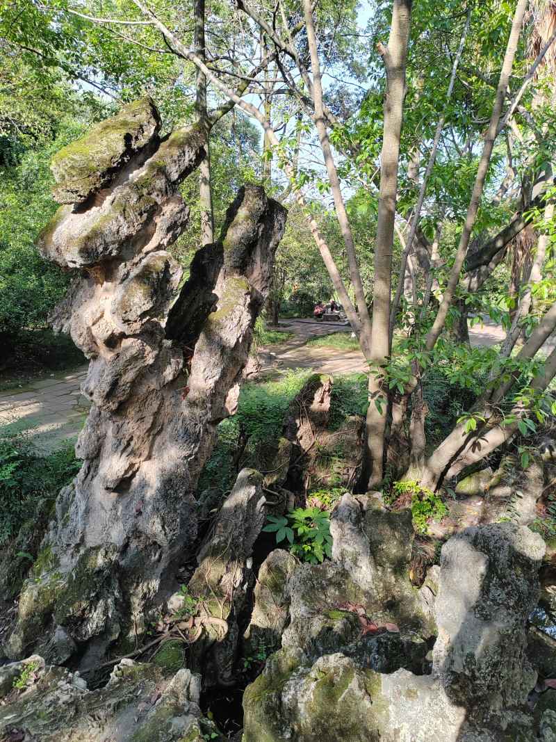假山