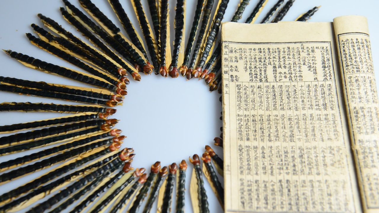 蜈蚣中药材 19