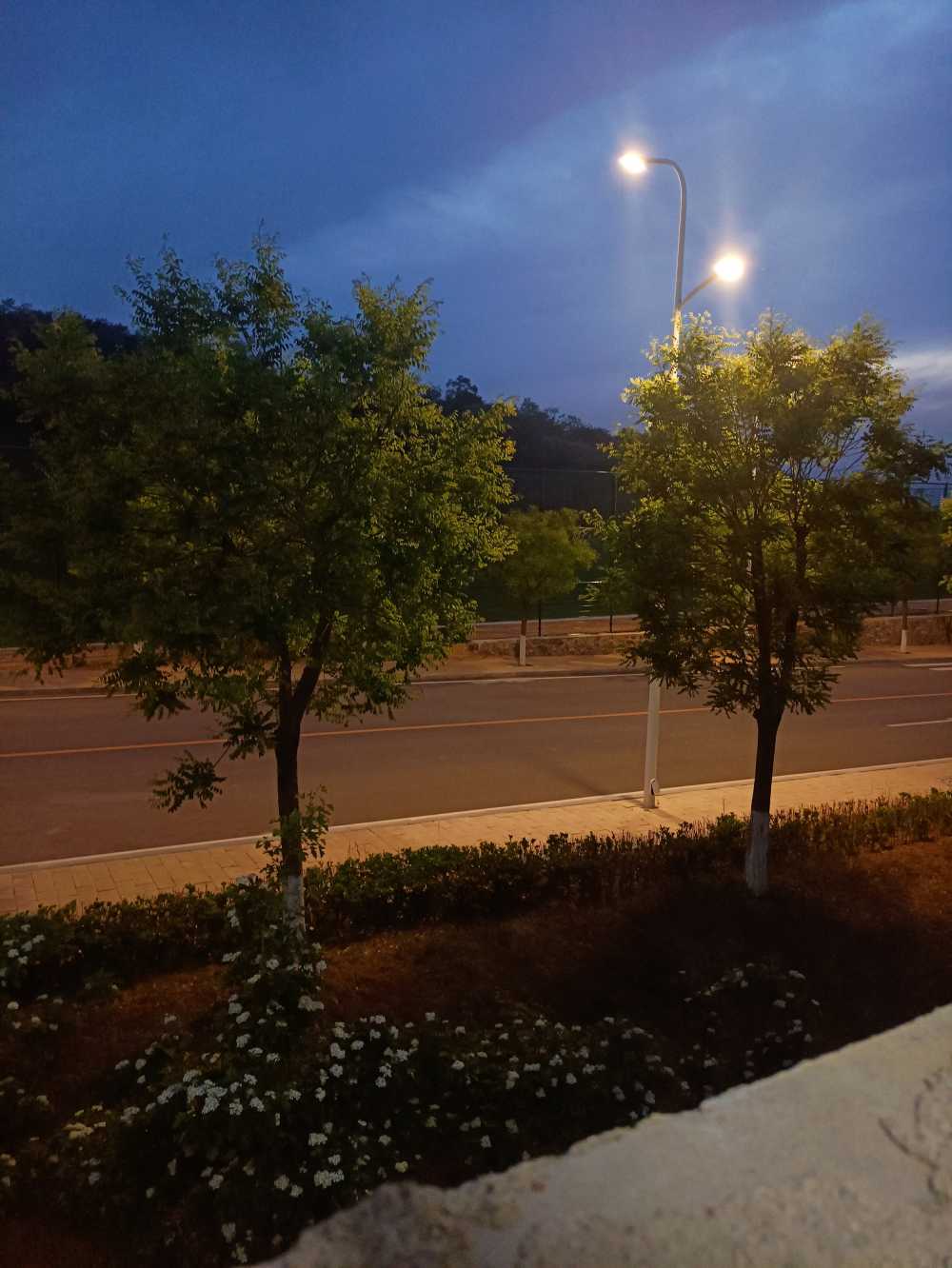 傍晚的路灯