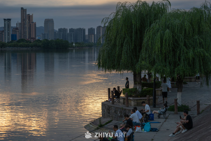 城市风景 71