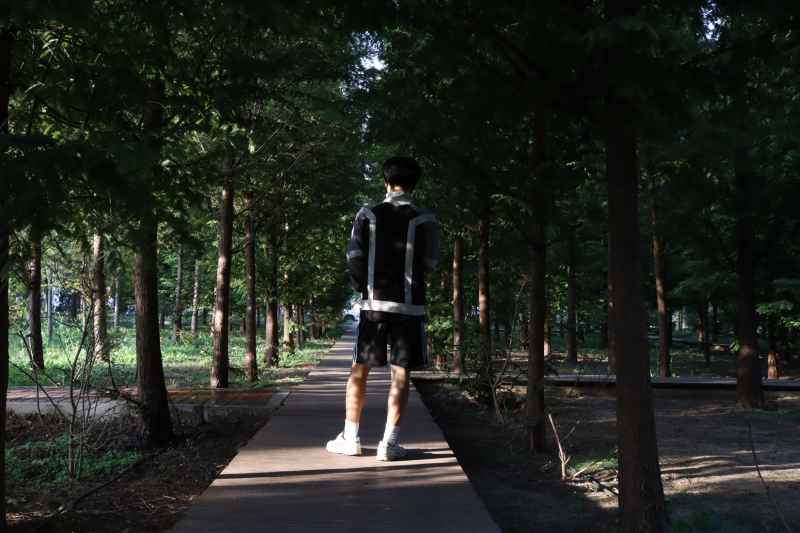 春游随拍1 158