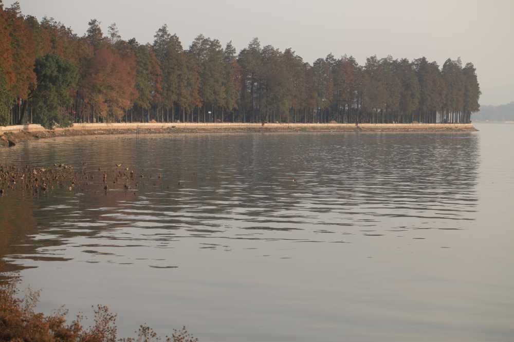 湖景