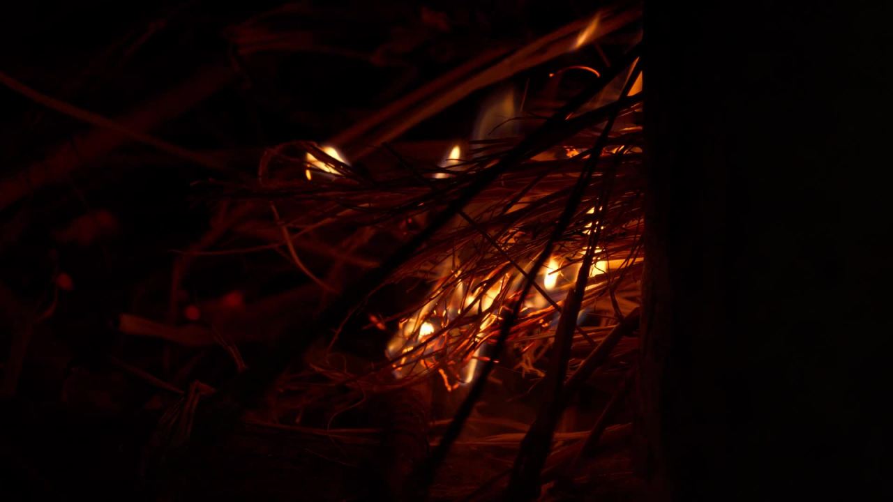燃烧的木炭柴火篝火 50
