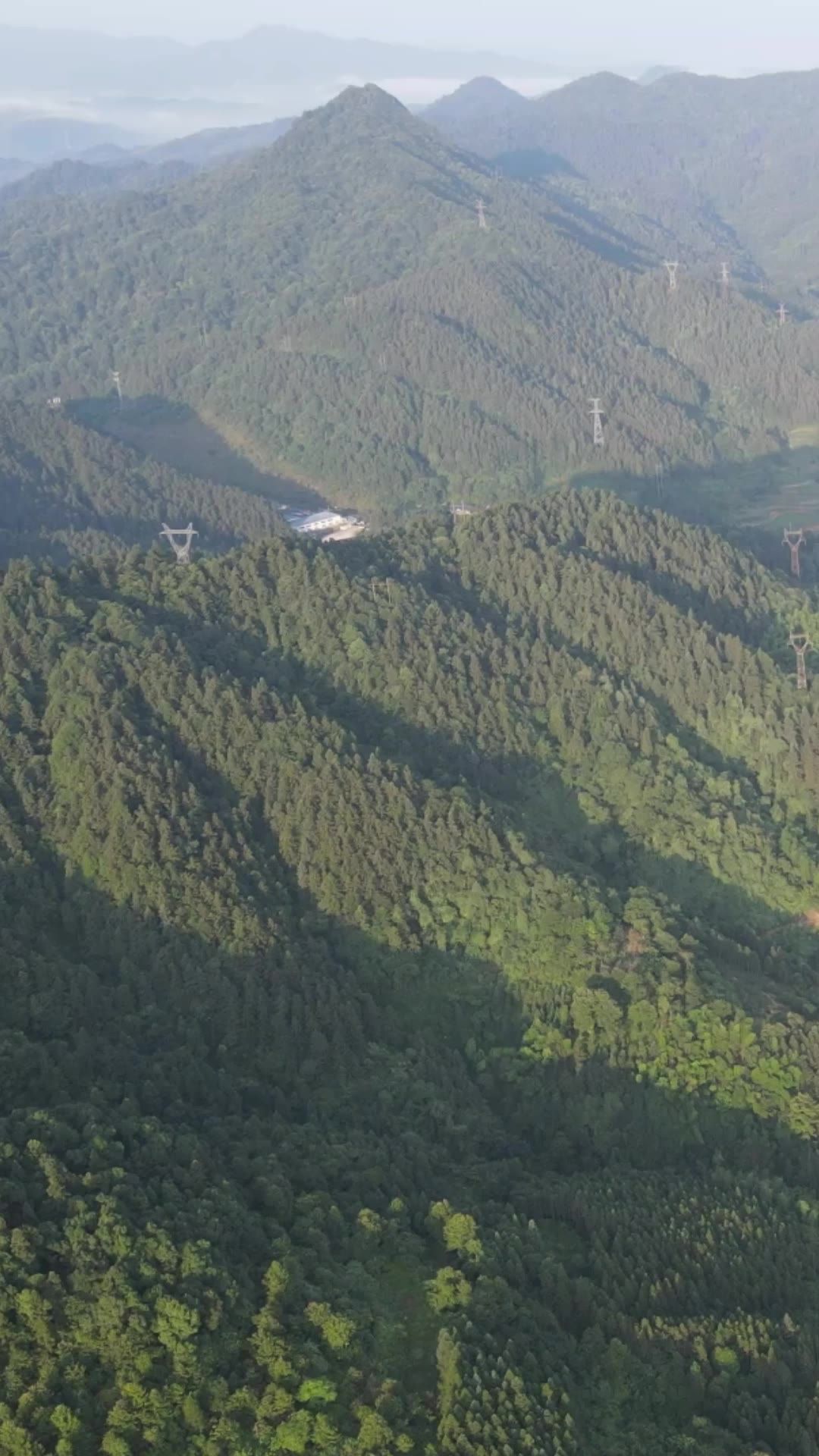 青山绿水山川植物森林竖屏航拍