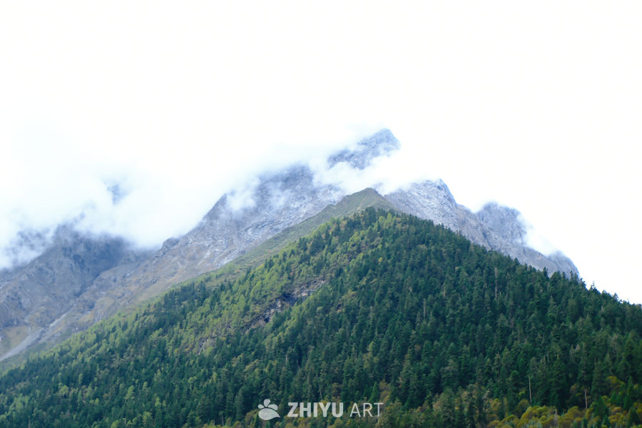 四姑娘山风景