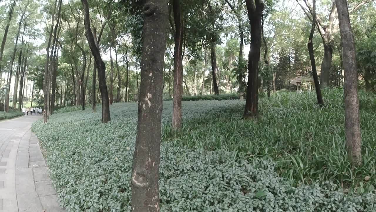 公园 7