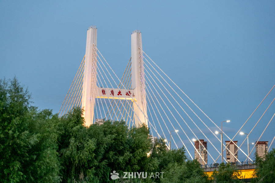 夜景下的城市大桥 39