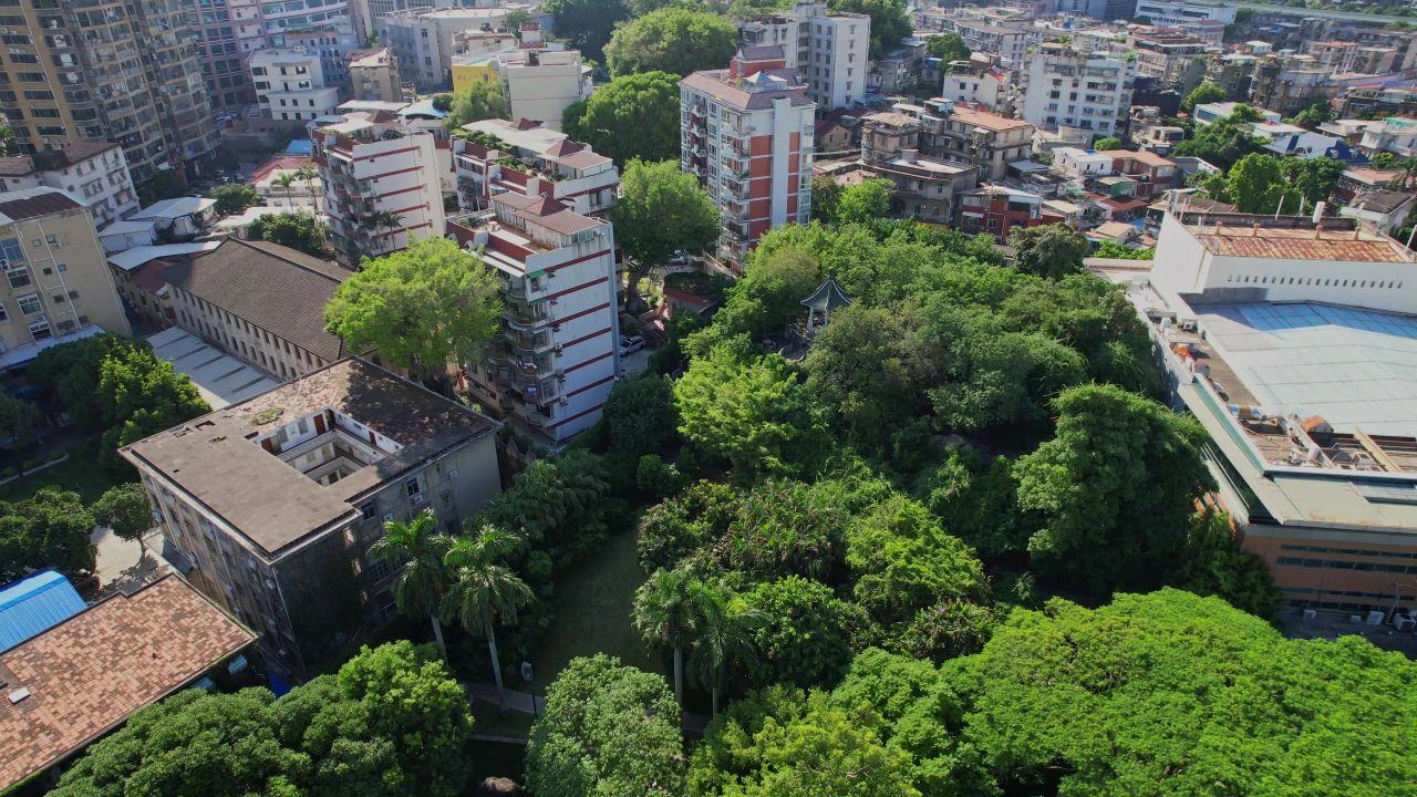 航拍厦门歌舞剧院