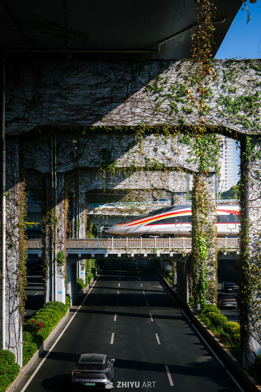 绿意高架下的高铁穿行